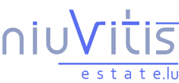 logo_niuvitisestate_br